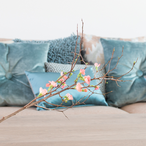 JACKIE RADEMAKERS FENG SHUI WAT IS DAT EIGENLIJK